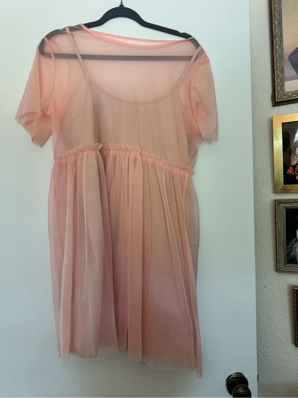Muse Valley Sheer Peach Babydoll Dress